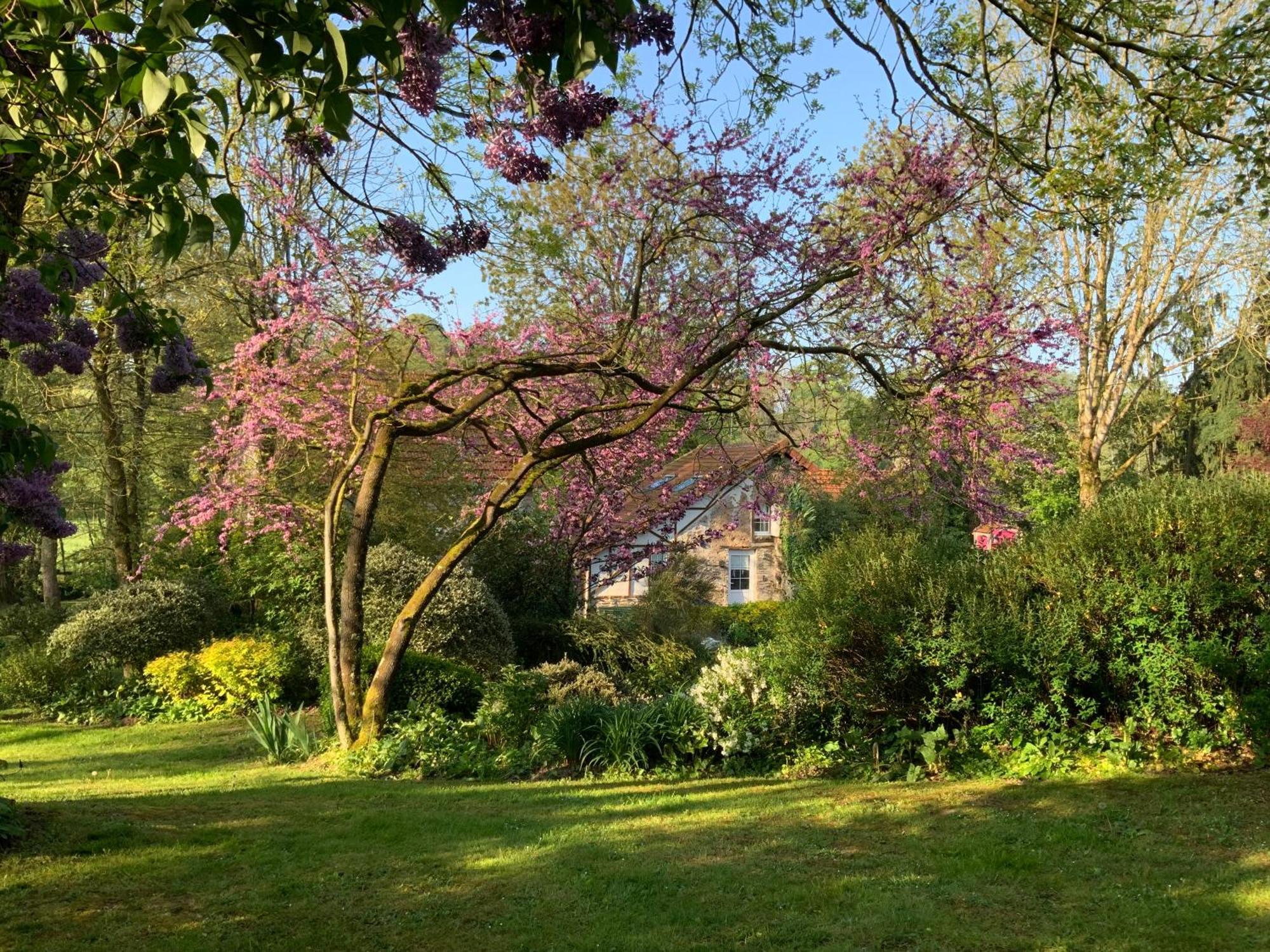 Bed and Breakfast Le Moulin De La Castellerie Moon-sur-Elle Экстерьер фото